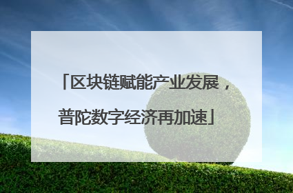 区块链赋能产业发展，普陀数字经济再加速