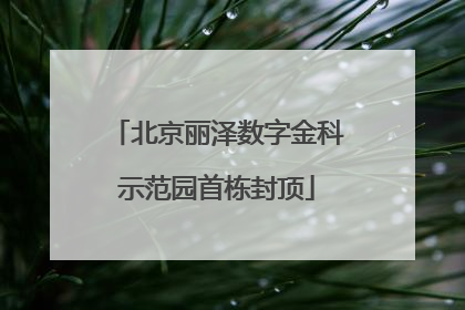 北京丽泽数字金科示范园首栋封顶