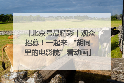 北京号最精彩｜观众招募！一起来 “胡同里的电影院”看动画