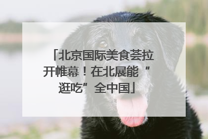 北京国际美食荟拉开帷幕！在北展能“逛吃”全中国
