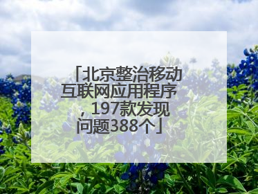 北京整治移动互联网应用程序，197款发现问题388个