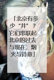 北京有多少“井”？它们串联起北京的过去与现在、烟火与诗意