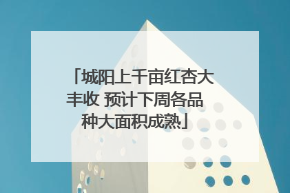 城阳上千亩红杏大丰收 预计下周各品种大面积成熟