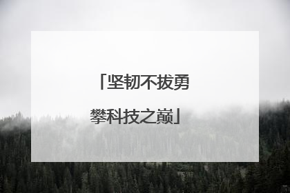 坚韧不拔勇攀科技之巅