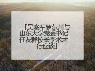 吴晓军罗东川与山东大学党委书记任友群校长李术才一行座谈