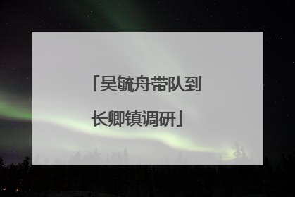 吴毓舟带队到长卿镇调研