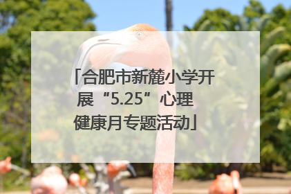 合肥市新麓小学开展“5.25”心理健康月专题活动