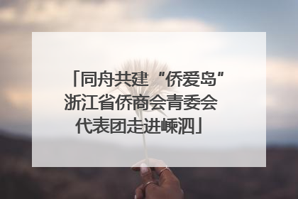 同舟共建“侨爱岛” 浙江省侨商会青委会代表团走进嵊泗