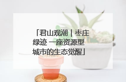 君山观潮｜枣庄绿迹 一座资源型城市的生态觉醒