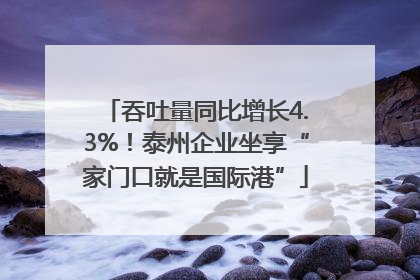 吞吐量同比增长4.3%！泰州企业坐享“家门口就是国际港”