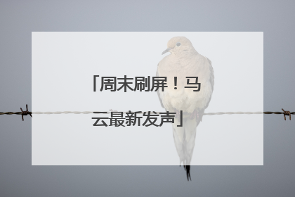 周末刷屏！马云最新发声