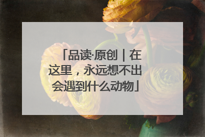 品读·原创｜在这里，永远想不出会遇到什么动物