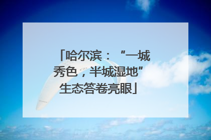 哈尔滨：“一城秀色，半城湿地”生态答卷亮眼