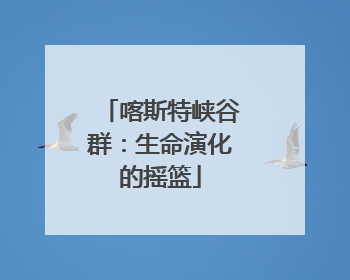 喀斯特峡谷群：生命演化的摇篮