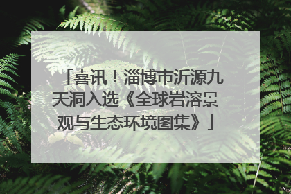 喜讯！淄博市沂源九天洞入选《全球岩溶景观与生态环境图集》