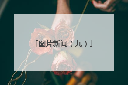 图片新闻（九）