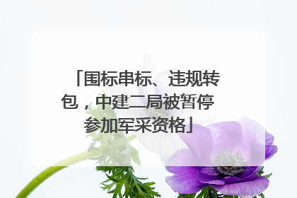围标串标、违规转包，中建二局被暂停参加军采资格
