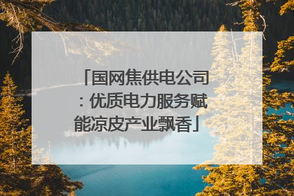国网焦供电公司：优质电力服务赋能凉皮产业飘香