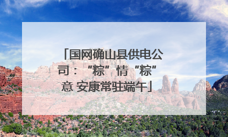 国网确山县供电公司：“粽”情“粽”意 安康常驻端午