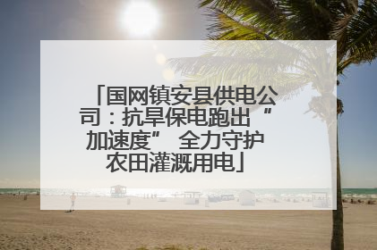 国网镇安县供电公司：抗旱保电跑出“加速度” 全力守护农田灌溉用电