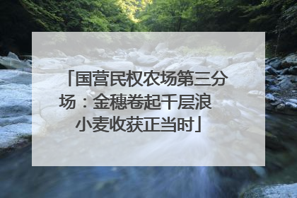 国营民权农场第三分场：金穗卷起千层浪 小麦收获正当时