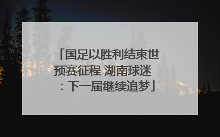 国足以胜利结束世预赛征程 湖南球迷：下一届继续追梦
