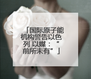 国际原子能机构警告以色列 以媒：“前所未有”