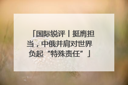 国际锐评丨挺膺担当，中俄并肩对世界负起“特殊责任”