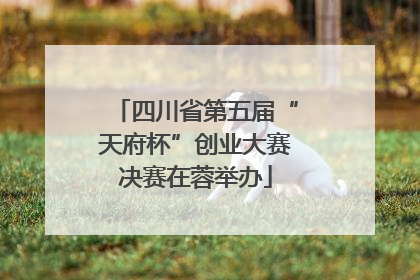 四川省第五届“天府杯”创业大赛决赛在蓉举办