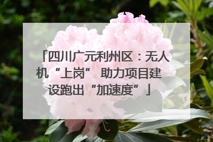 四川广元利州区：无人机“上岗” 助力项目建设跑出“加速度”