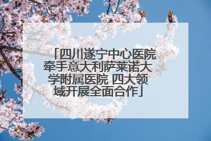 四川遂宁中心医院牵手意大利萨莱诺大学附属医院 四大领域开展全面合作