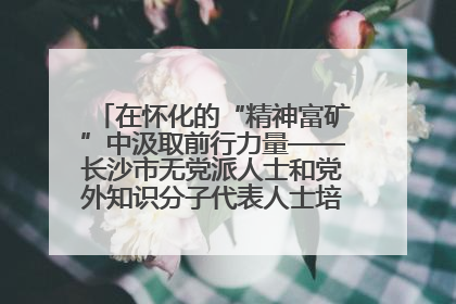 在怀化的“精神富矿”中汲取前行力量——长沙市无党派人士和党外知识分子代表人士培训班在怀化圆满举办