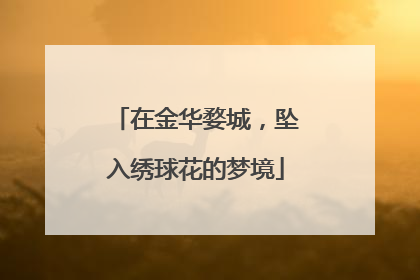 在金华婺城，坠入绣球花的梦境