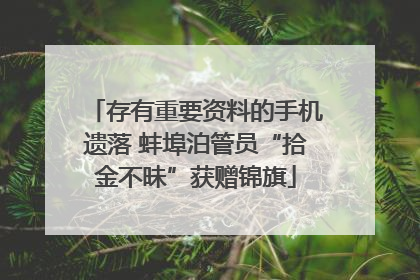 存有重要资料的手机遗落 蚌埠泊管员“拾金不昧”获赠锦旗