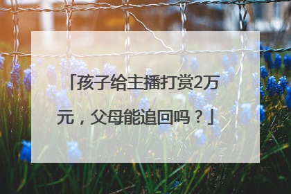 孩子给主播打赏2万元，父母能追回吗？