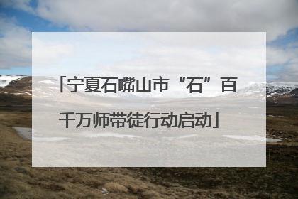 宁夏石嘴山市“石”百千万师带徒行动启动