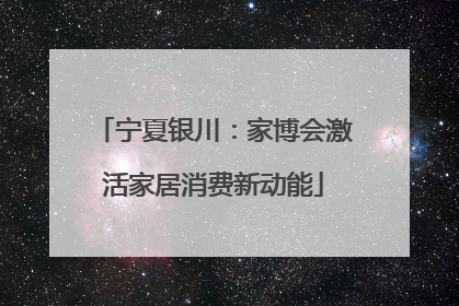 宁夏银川：家博会激活家居消费新动能