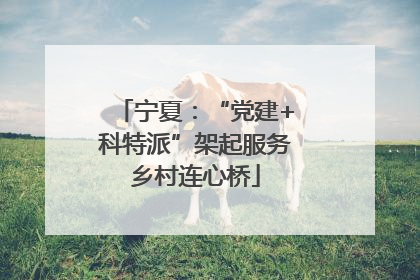 宁夏：“党建+科特派”架起服务乡村连心桥