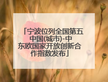 宁波位列全国第五 中国(城市)-中东欧国家开放创新合作指数发布