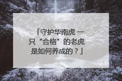 守护华南虎 一只“合格”的老虎是如何养成的？
