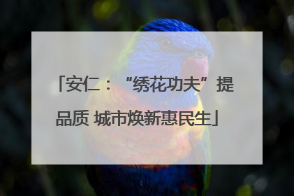 安仁：“绣花功夫”提品质 城市焕新惠民生