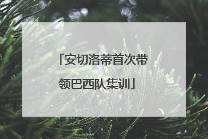 安切洛蒂首次带领巴西队集训