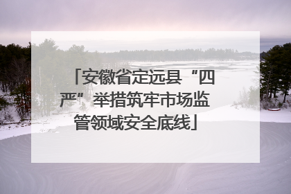 安徽省定远县“四严”举措筑牢市场监管领域安全底线