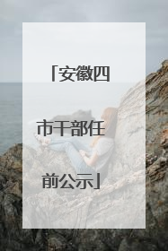安徽四市干部任前公示
