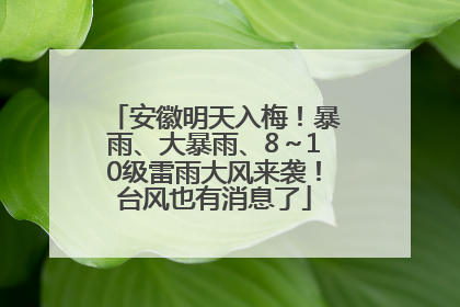 安徽明天入梅！暴雨、大暴雨、8～10级雷雨大风来袭！台风也有消息了