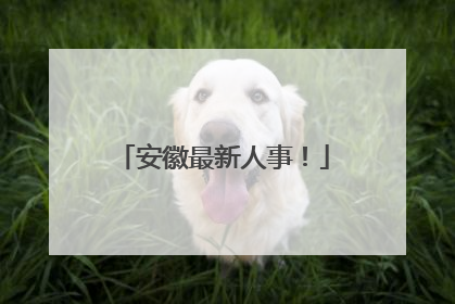 安徽最新人事！