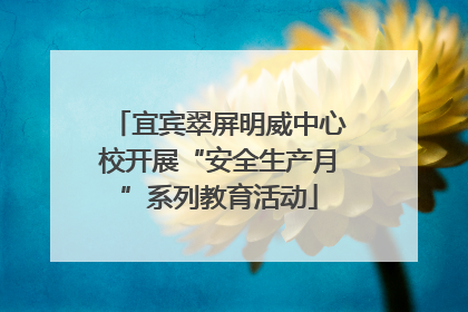 宜宾翠屏明威中心校开展“安全生产月”系列教育活动