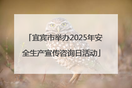 宜宾市举办2025年安全生产宣传咨询日活动