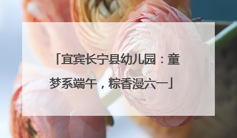 宜宾长宁县幼儿园：童梦系端午，粽香漫六一
