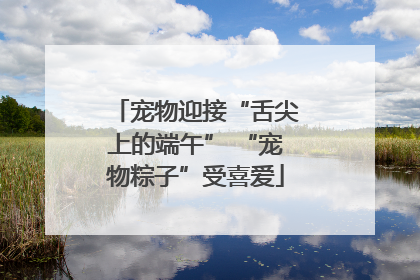 宠物迎接“舌尖上的端午” “宠物粽子”受喜爱